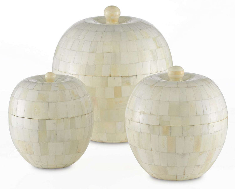 Currey and Company 1200-0284 Box Set of 3, Natural Bone/White Finish - LightingWellCo