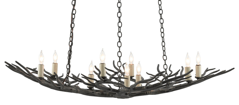 Currey and Company 9000-0555 Nine Light Chandelier, Rustic Bronze Finish - LightingWellCo