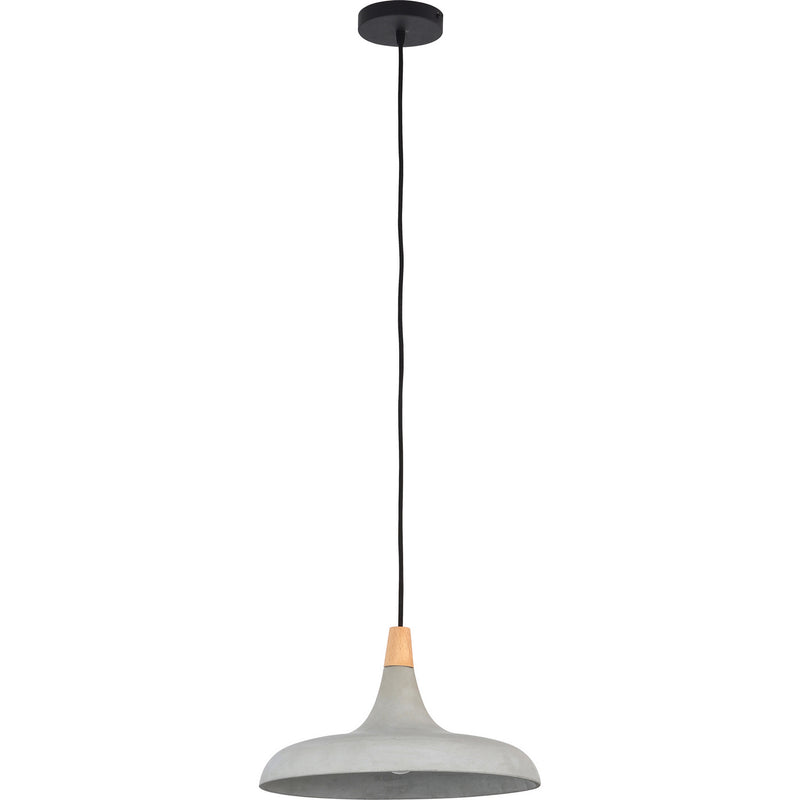 Renwil LPC4331 Pendants - Metal Shade - LightingWellCo