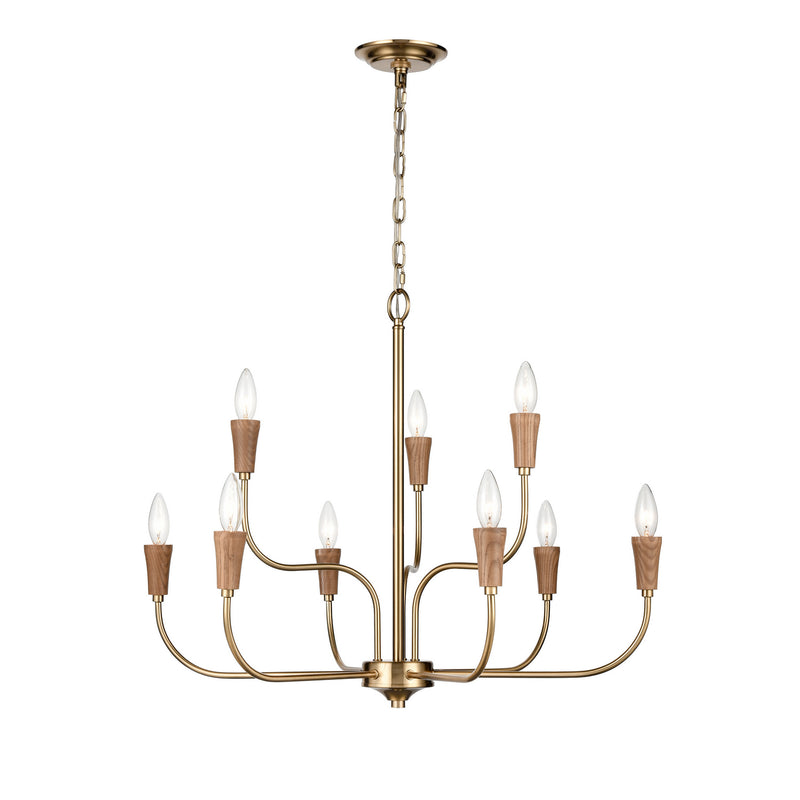 ELK Home H0019-9618 Nine Light Chandelier, Brass Finish-LightingWellCo